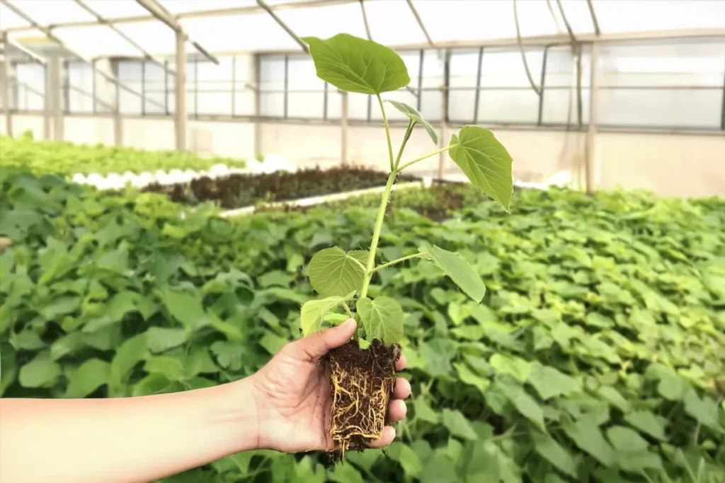 nachhaltiger Baum nachhaltiger Holzplanet